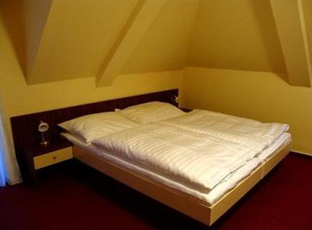 Hotel Altenberg Staré Hory Værelse billede