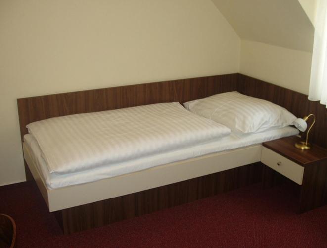 Hotel Altenberg Staré Hory Værelse billede