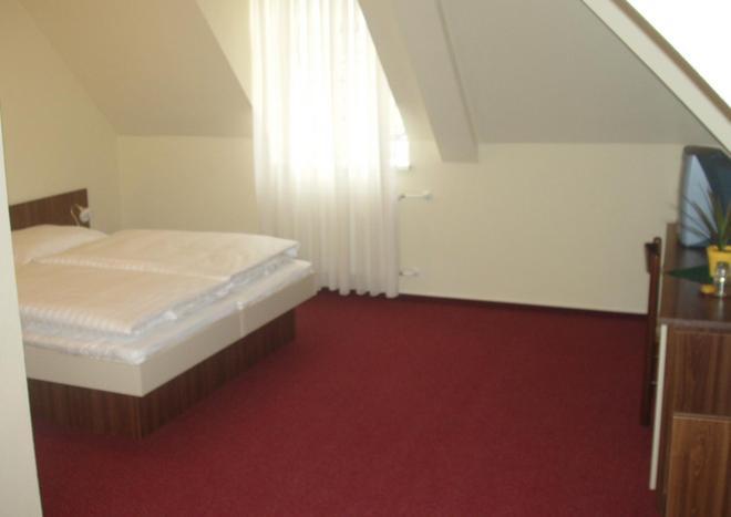 Hotel Altenberg Staré Hory Værelse billede